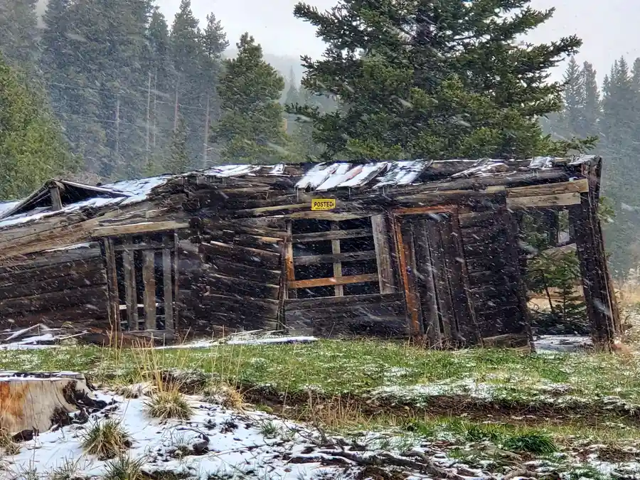 How Shed Removal Enhances Curb Appeal Quickly in Chesterfield, VA How Shed Removal Enhances Curb Appeal Quickly in Chesterfield, VA