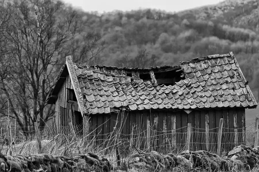 Professional Shed Removal Chesterfield, VA Professional Shed Removal Chesterfield, VA